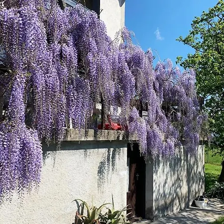 Panorama Apartman